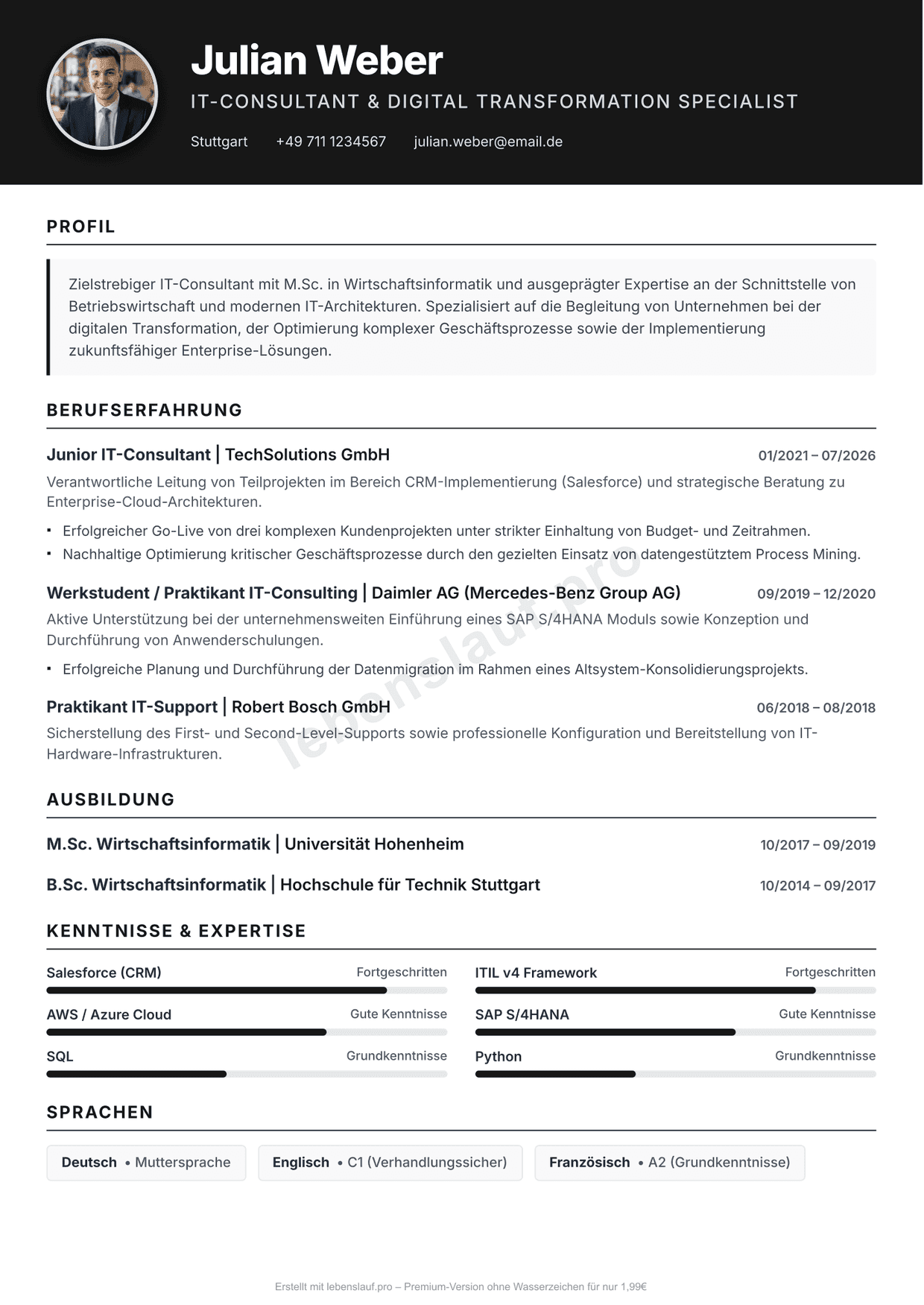 Beispiel-Lebenslauf IT-Consultant